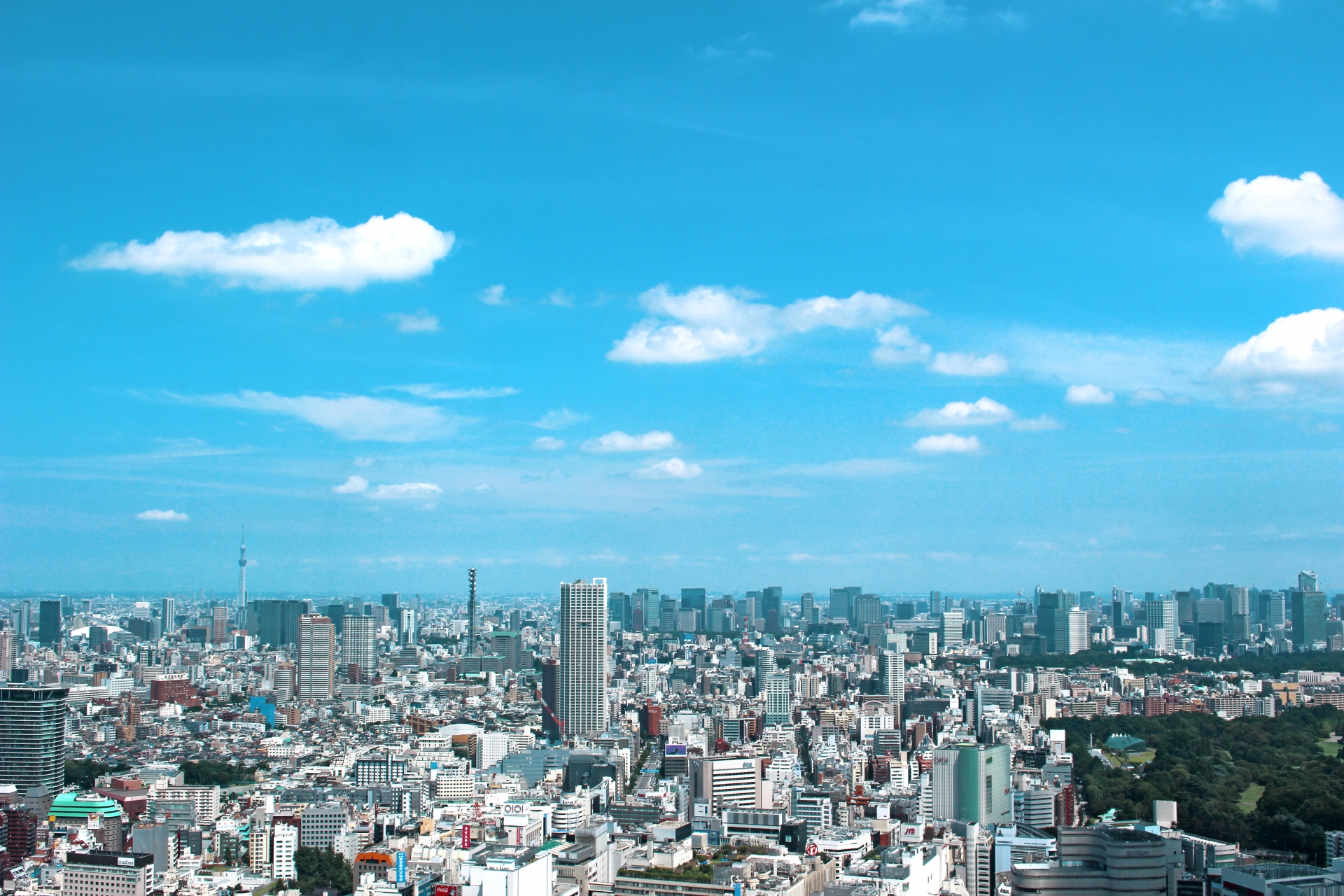 東京23区 年収1000万以上の求人数ランキング